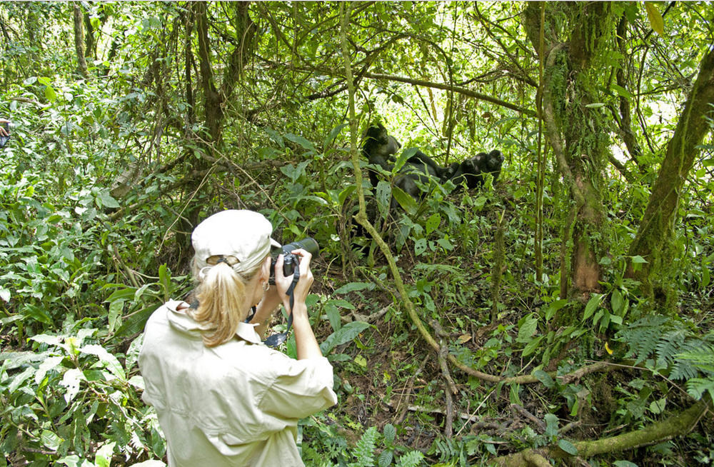 ホテルSanctuary Gorilla Forest Camp Ntungamo  エクステリア 写真